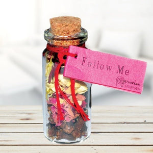 Follow Me Wishing Bottle - Tarah Co