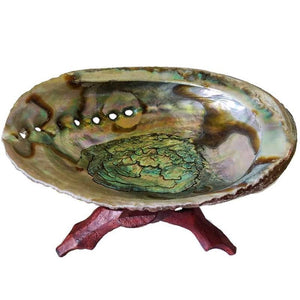 Abalone Shell with Stand - TARAH CO.