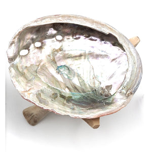 Bulk Abalone Shells, 100 Pieces - TARAH CO.