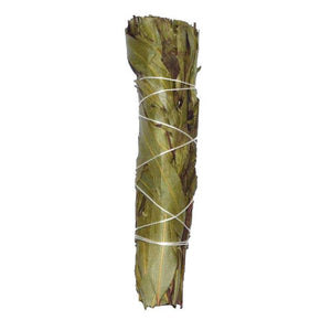 Eucalyptus Citridora Smudge Stick, 4" - TARAH CO.