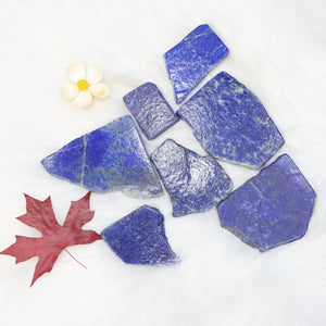 Lapis Lazuli Slices - TARAH CO.