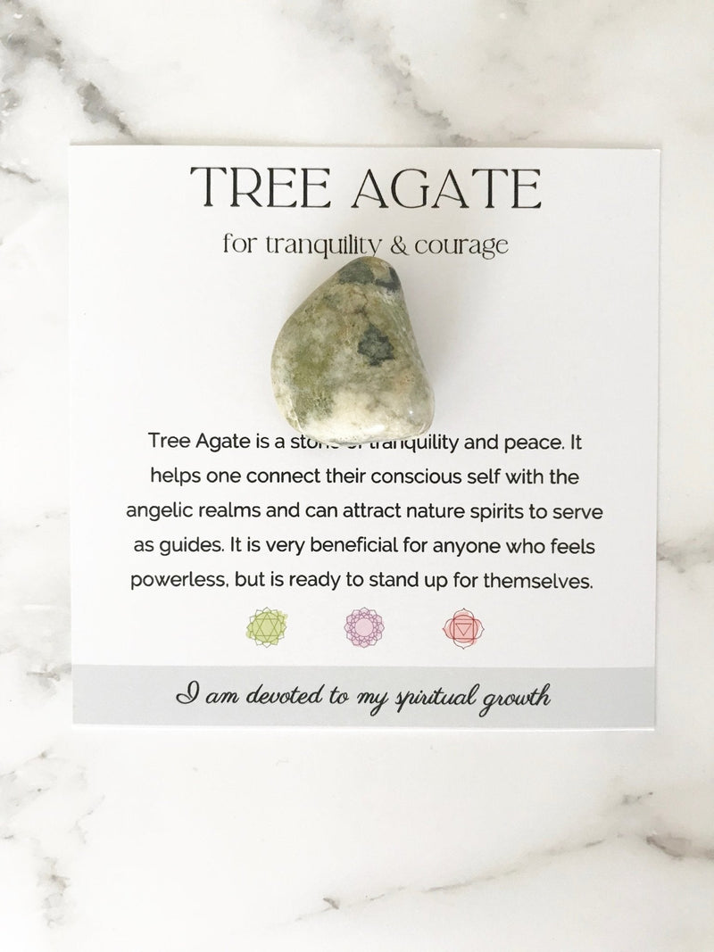 Tree Agate Stone - TARAH CO.