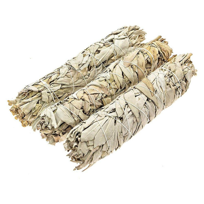 White Sage Smudge Sticks, 12 Pack - TARAH CO.